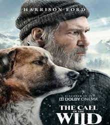 the call of the wild